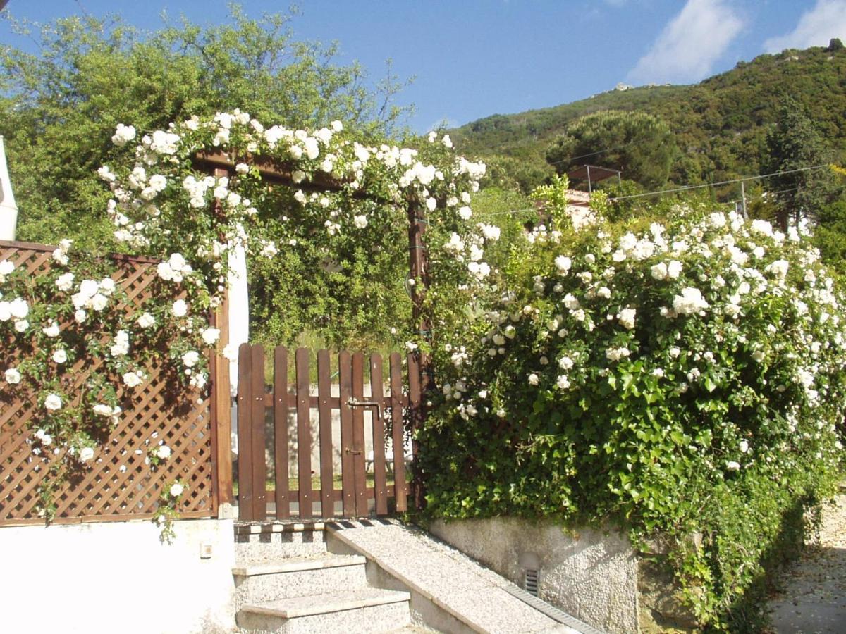 Villa Dei Limoni SantʼAndrea Zewnętrze zdjęcie